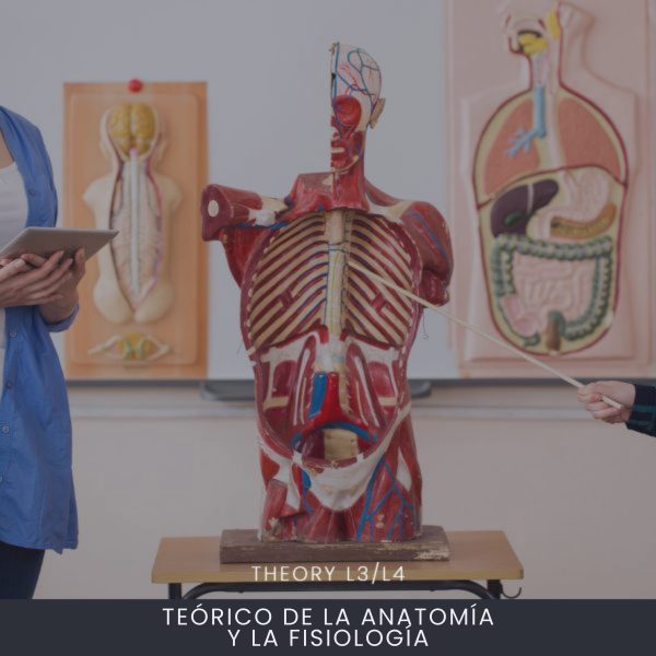 Anatomía y la Fisiología