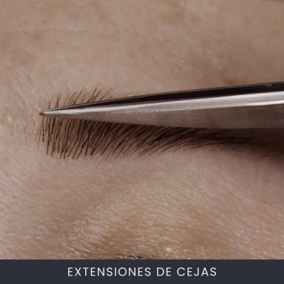 Extensiones De Cejas