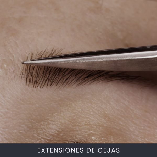 Extensiones De Cejas