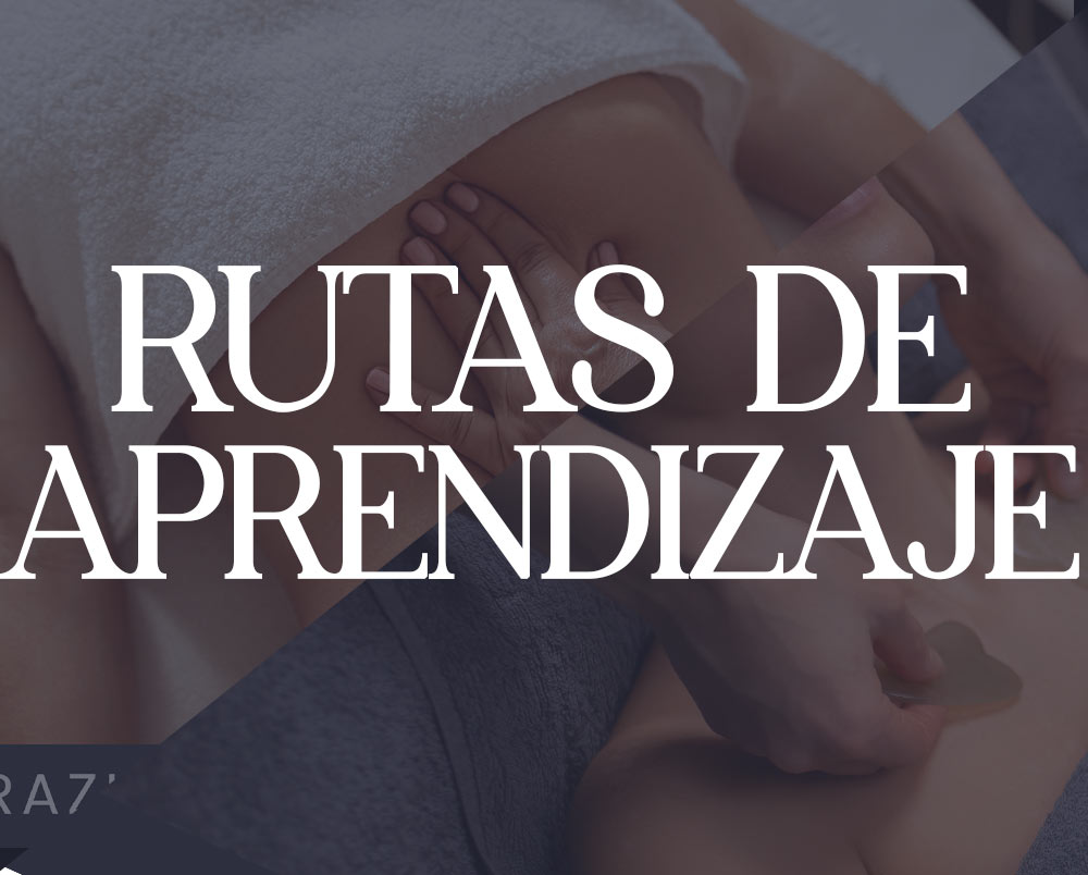 Rutas de aprendizaje
